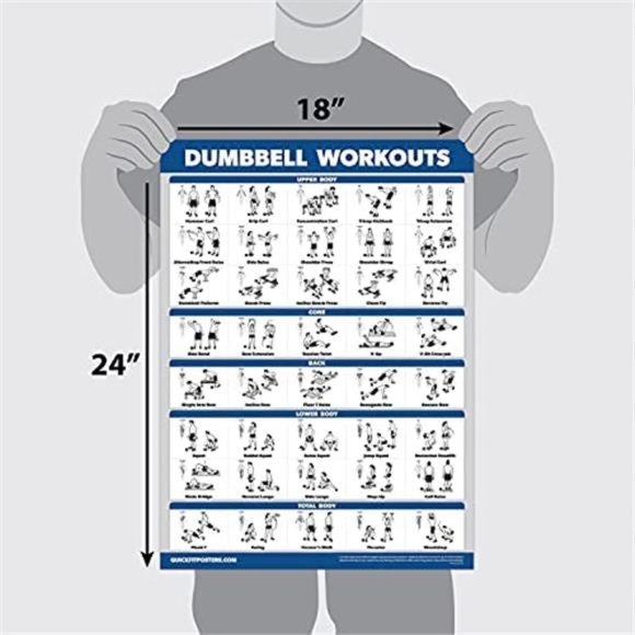 3 Pack Laminated Palace Learning Dumbbell and Body Weight Exercise Poster 18x24" - Picture 2 of 6